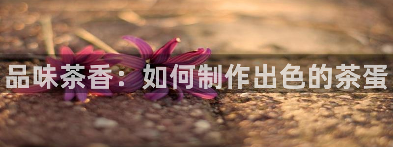 安信cw12系列