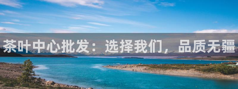 安信12位资金账号