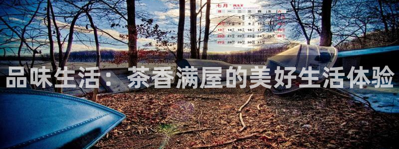 安信12下载