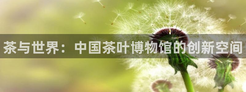 12月安信推荐