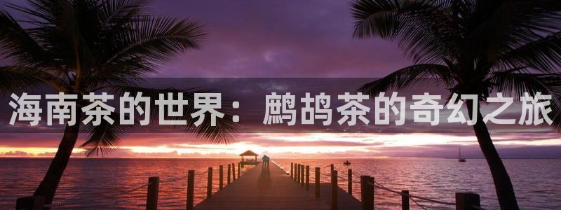 安信证券手机壳12