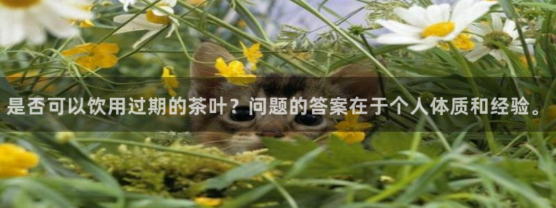 安信12平台的网址
