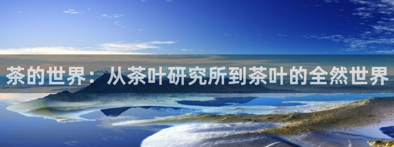 安信12位数资金号