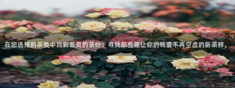 信安12