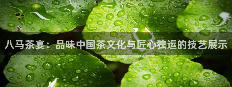 安信12平台