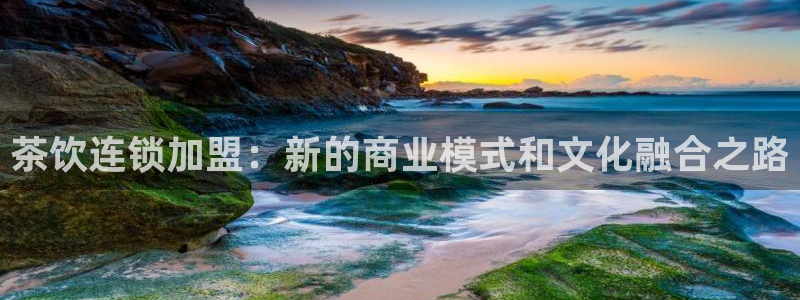 安信12官方网站查询