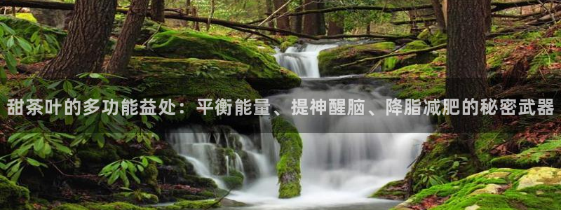 安信12彩票在线网址