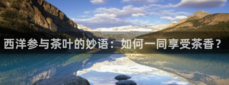 安信t12