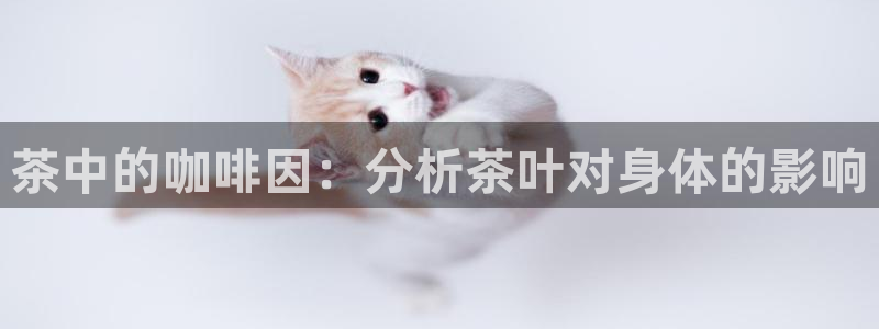 安信12周年庆