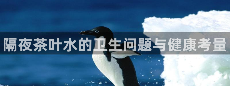 安信12赛车