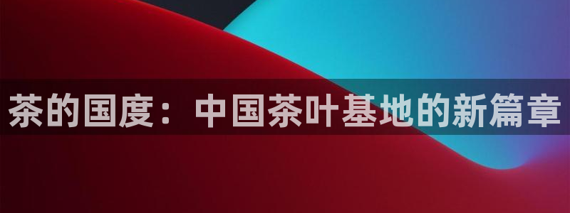 安信12娱乐