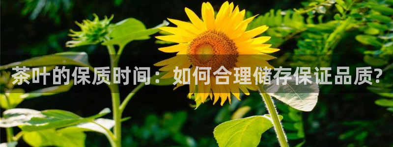 安信12是正规还是仿