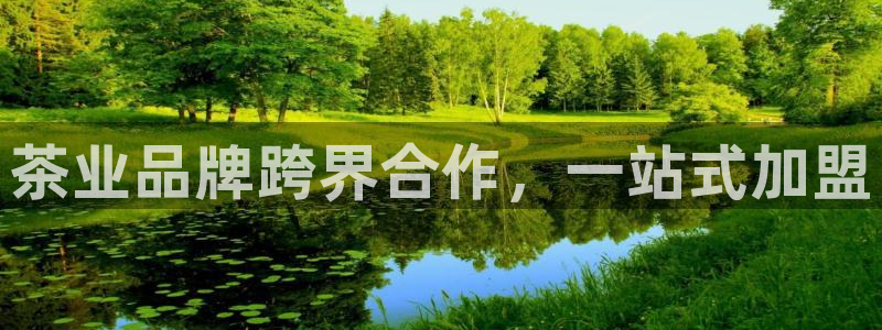 安信锐赢134号12月