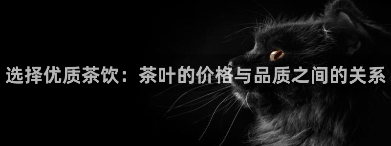 安信12是做什么