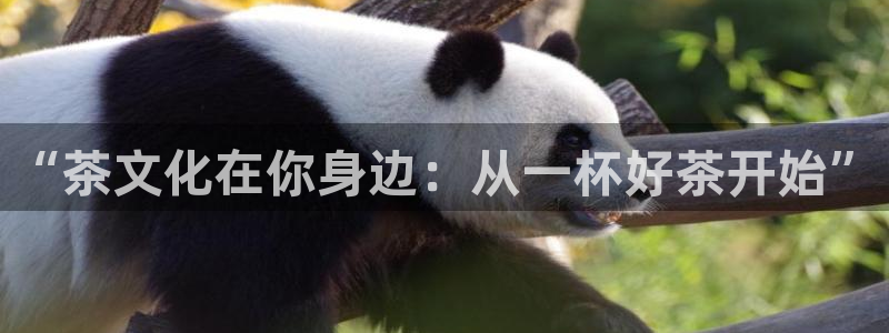 安信12怎么下载