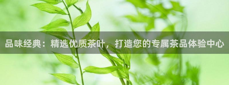 安信12如何开代理