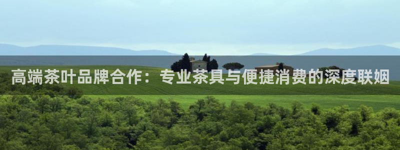 安信可12e12f