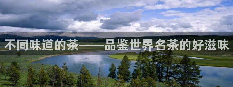安信可12f
