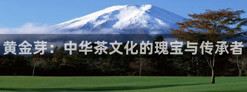 安立信T12测评