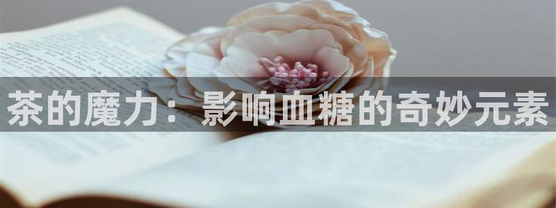 安信cw12系列