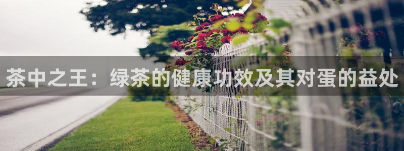 安信12代理