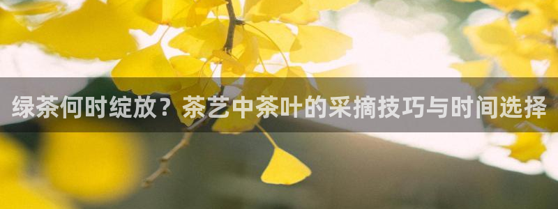 安信12真假