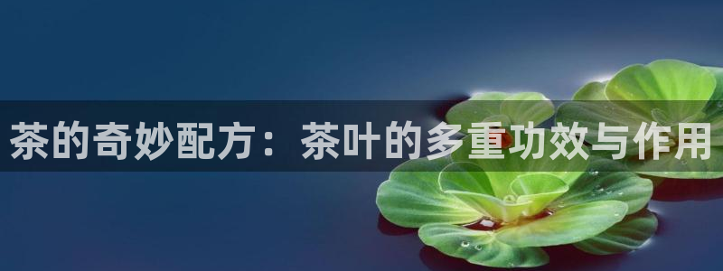 安信12平台开户