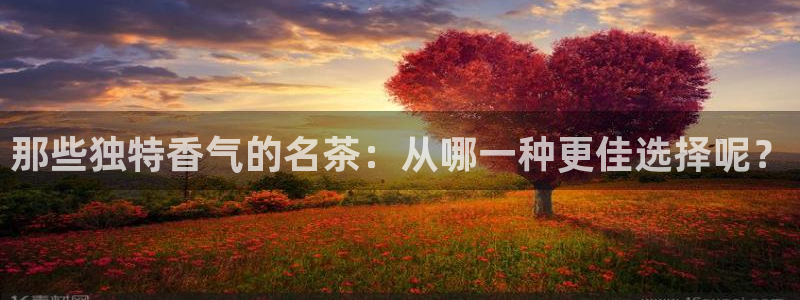 安信12位数资金号