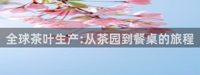 安信cwa12