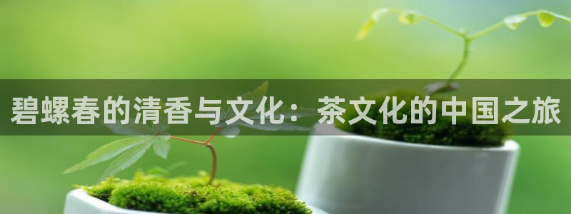 安信12彩票