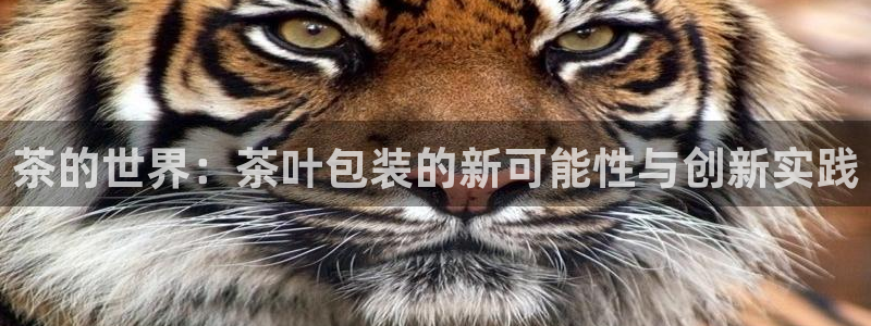 安信12下载