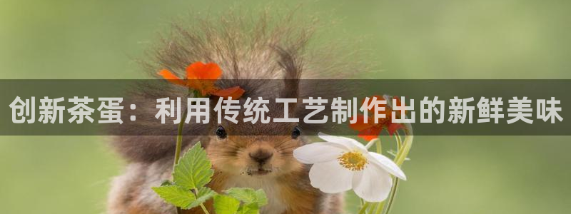 安信12包赔