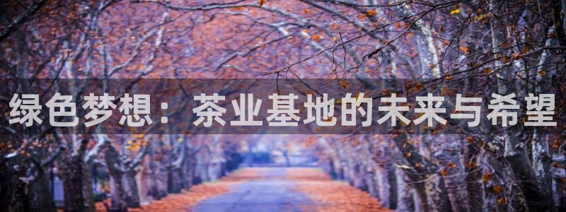 安信12娱乐招商
