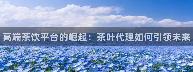 安信12软件介绍