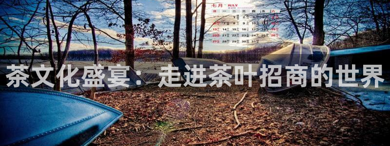 安信12平台官网