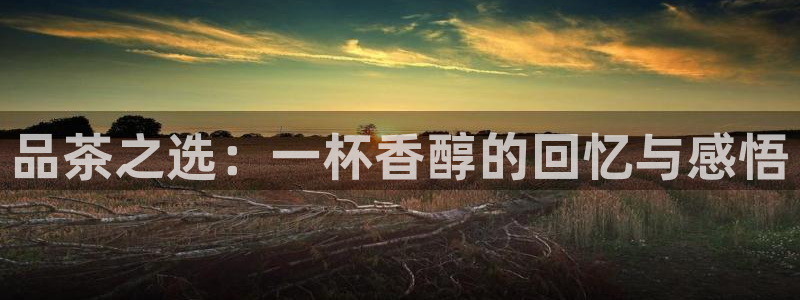 安信12彩票app下载