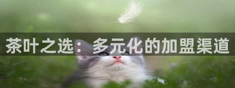 安信12娱乐主管