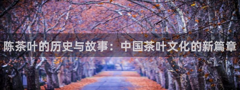 安信主管su金12手12指tq