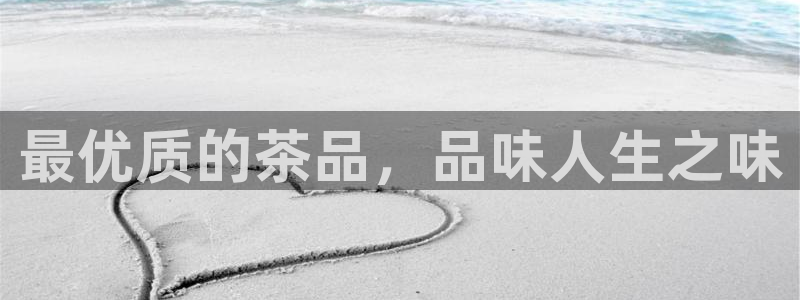 安信12软件介绍