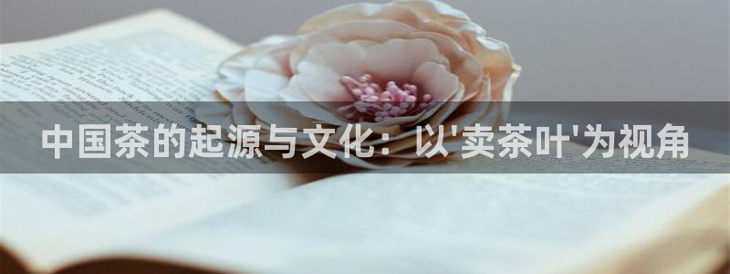 安信12平台介绍