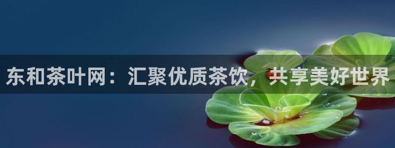 安信12周年庆典