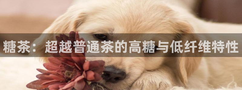 安信12级粉丝团福利